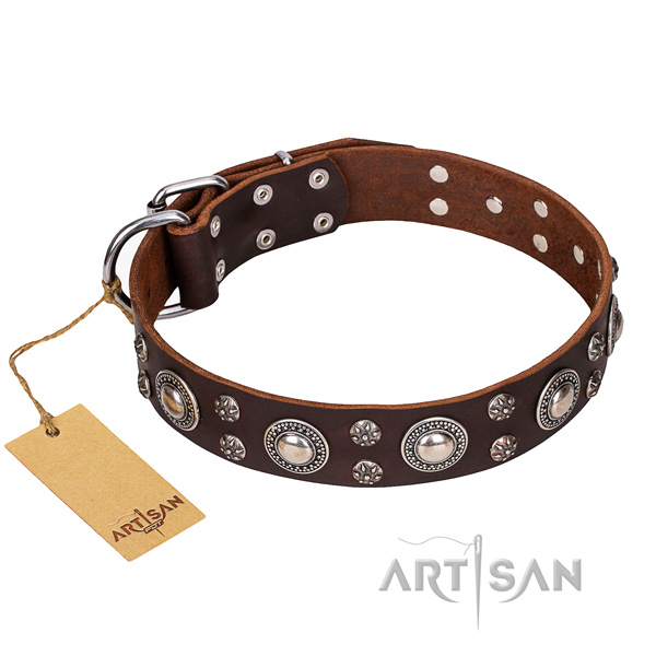 Basic training dog collar of fine quality leather with studs