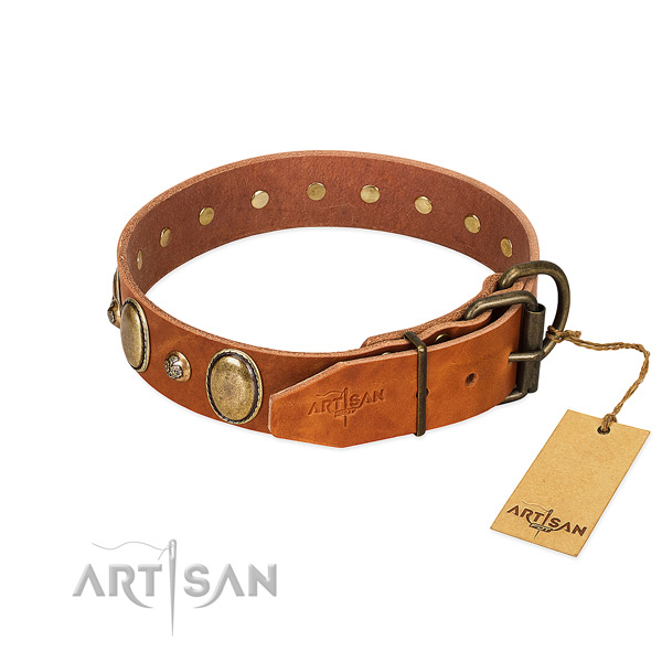 Everyday use full grain leather dog collar