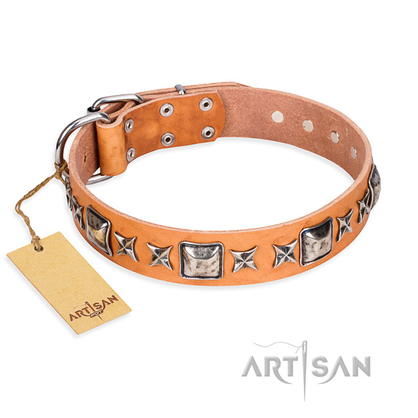 Daily use dog collar of quality full grain genuine leather with embellishments