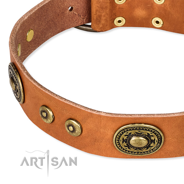 Full grain leather dog collar made of reliable material with adornments