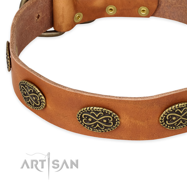 Amazing natural genuine leather collar for your beautiful four-legged friend