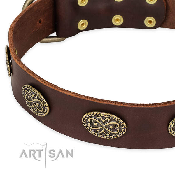 Extraordinary genuine leather collar for your attractive four-legged friend