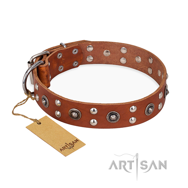 Easy wearing significant dog collar with strong traditional buckle