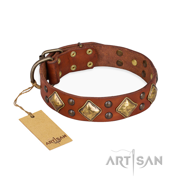 Daily walking stylish dog collar with strong buckle