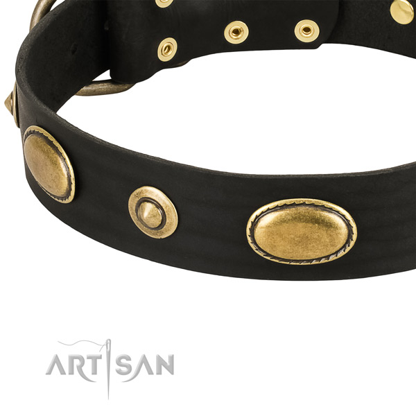 Rust-proof decorations on leather dog collar for your canine