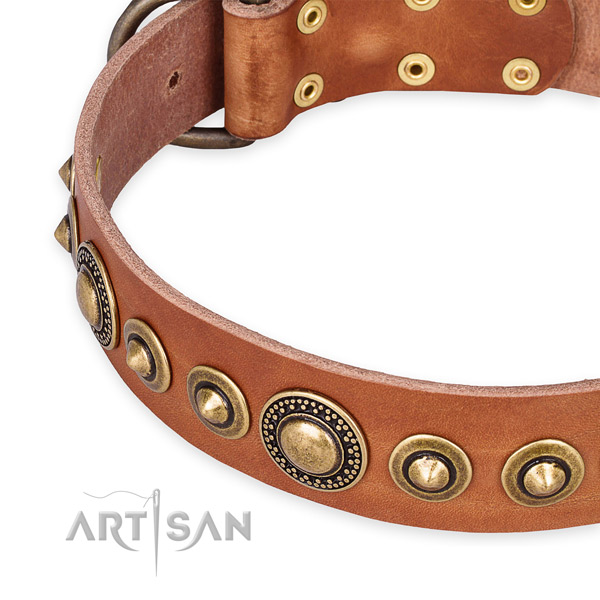 High quality full grain natural leather dog collar handmade for your beautiful dog