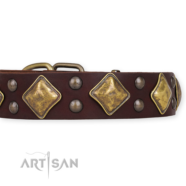 Leather dog collar with stylish design reliable decorations