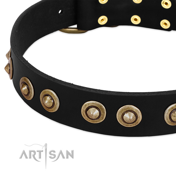 Strong studs on genuine leather dog collar for your four-legged friend