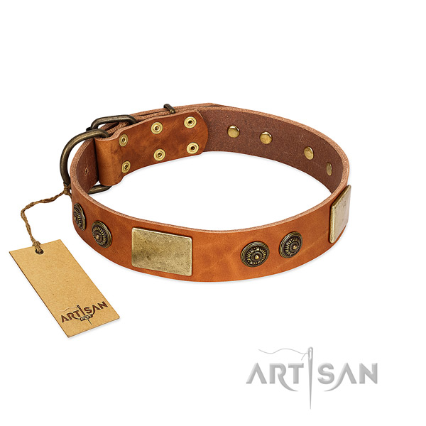 Embellished full grain natural leather dog collar for comfy wearing