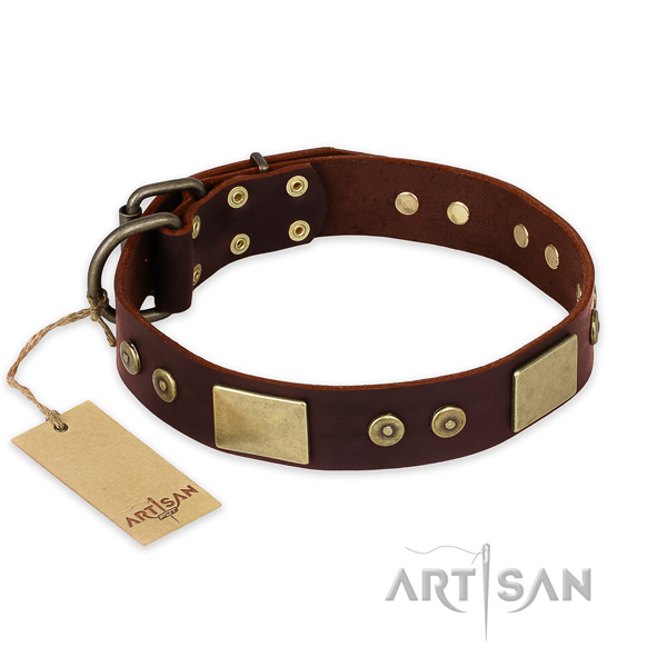 Exceptional full grain leather dog collar for walking