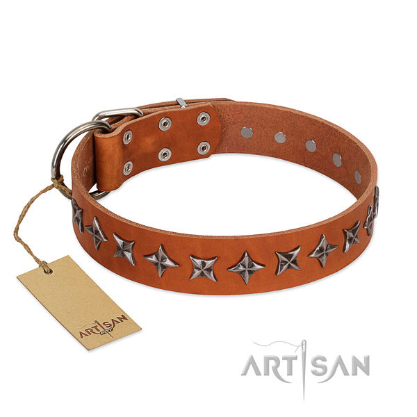 Daily use dog collar of top notch genuine leather with decorations