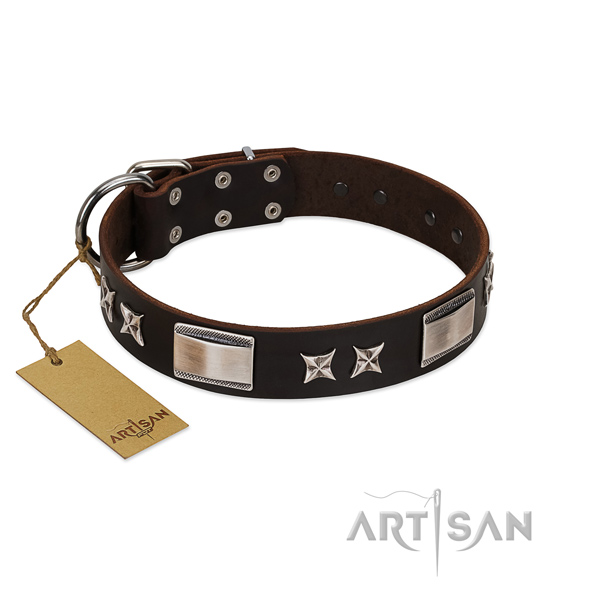 Handmade dog collar of full grain leather