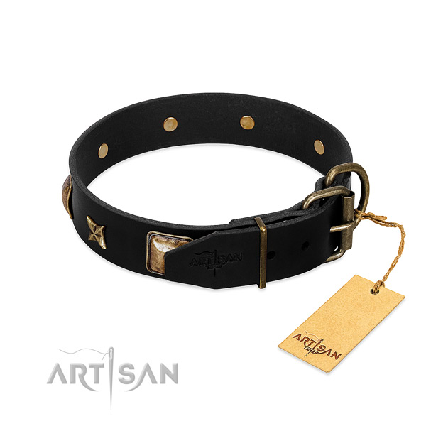 Rust resistant traditional buckle on full grain natural leather collar for walking your dog