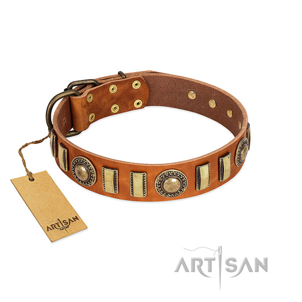 Remarkable natural leather dog collar with corrosion resistant traditional buckle