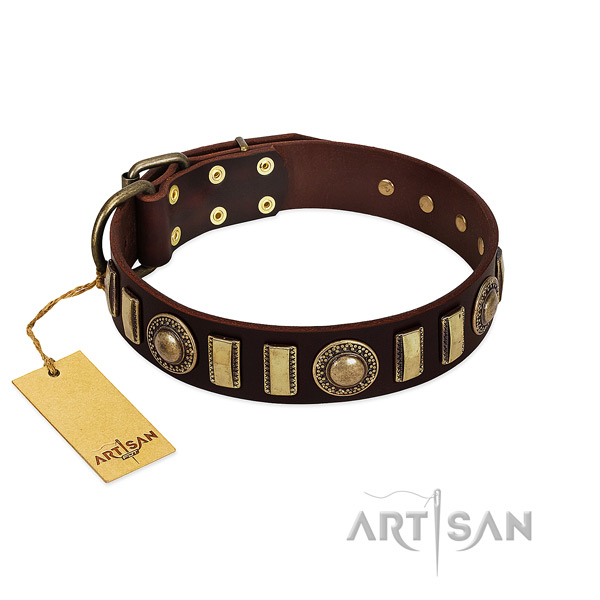 Reliable genuine leather dog collar with reliable D-ring