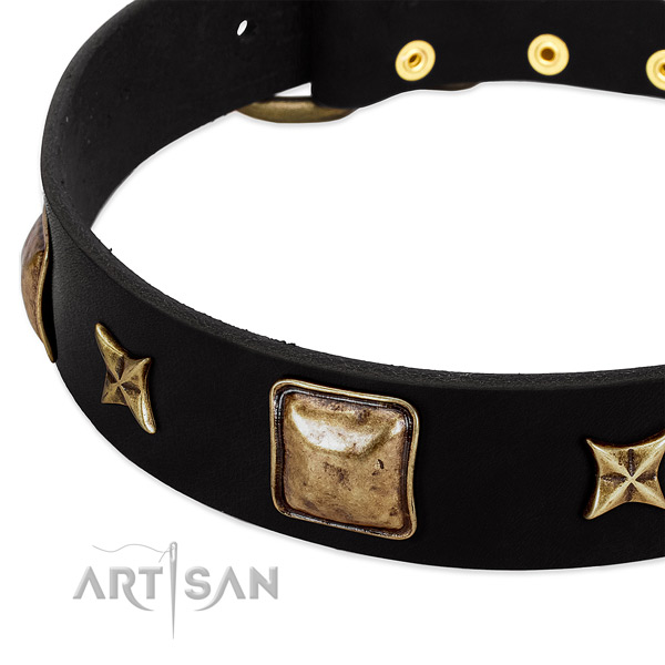 Natural leather dog collar with extraordinary studs