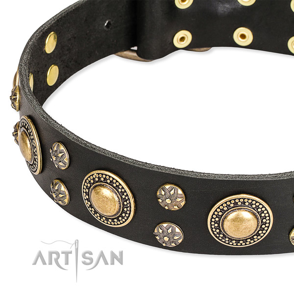 Handy use embellished dog collar of durable full grain genuine leather