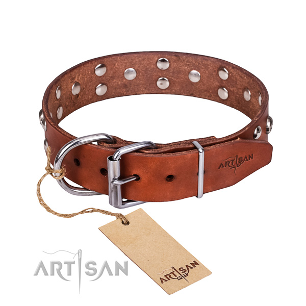 Walking dog collar of high quality natural leather with decorations