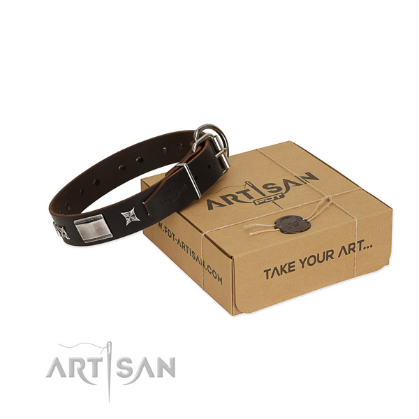 Trendy collar of full grain leather for your beautiful four-legged friend