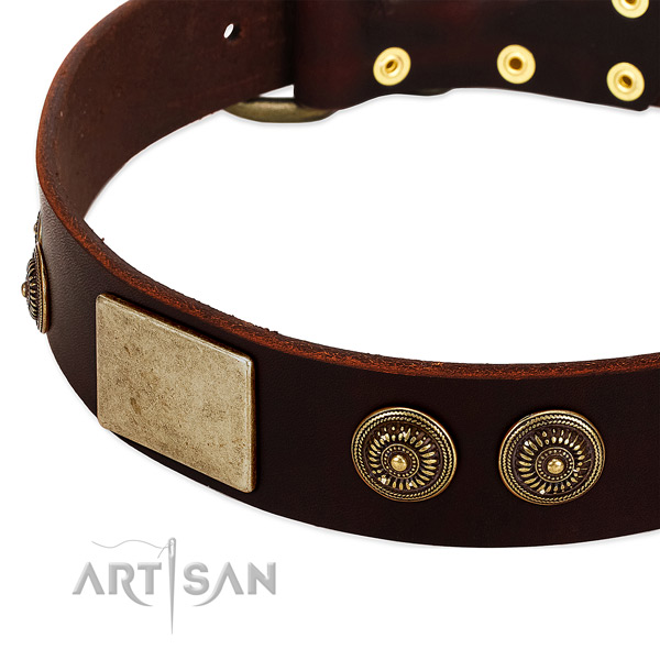 Corrosion resistant D-ring on full grain leather dog collar for your four-legged friend