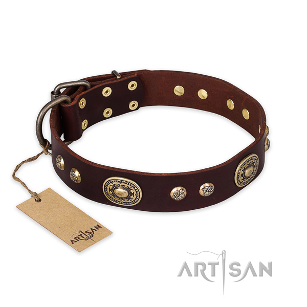 Stylish genuine leather dog collar for fancy walking