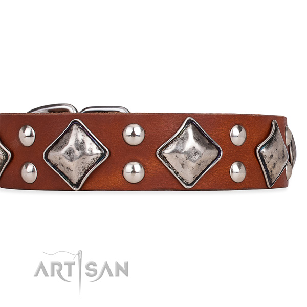 Full grain natural leather dog collar with stunning corrosion resistant embellishments