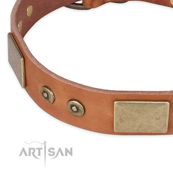 Corrosion proof studs on full grain leather dog collar for your doggie