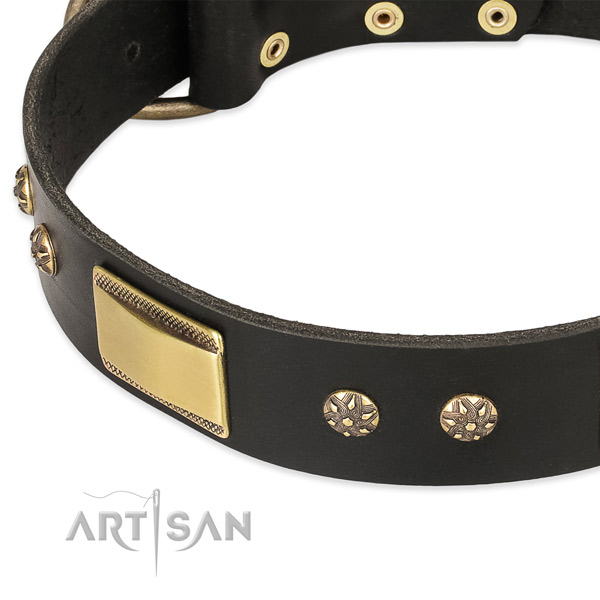 Durable hardware on full grain natural leather dog collar for your canine