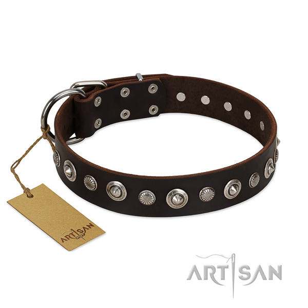 Finest quality full grain natural leather dog collar with remarkable embellishments