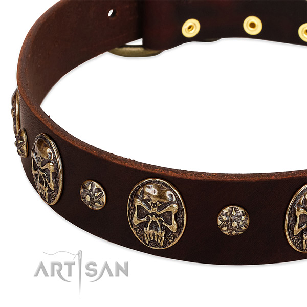 Rust resistant studs on leather dog collar for your canine