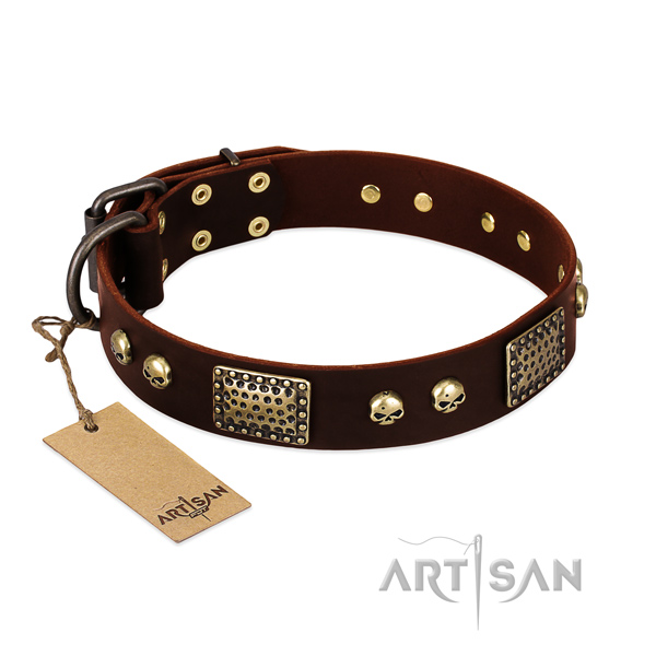 Easy adjustable leather dog collar for stylish walking your dog