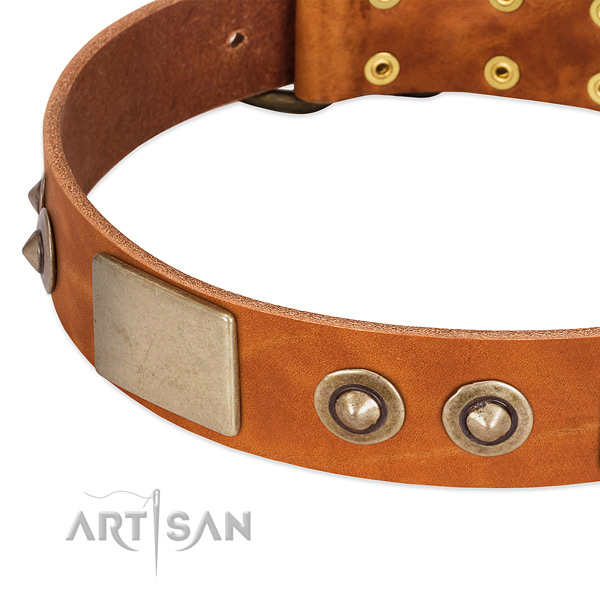 Reliable D-ring on full grain leather dog collar for your pet