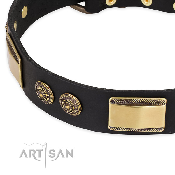 Significant leather collar for your attractive doggie