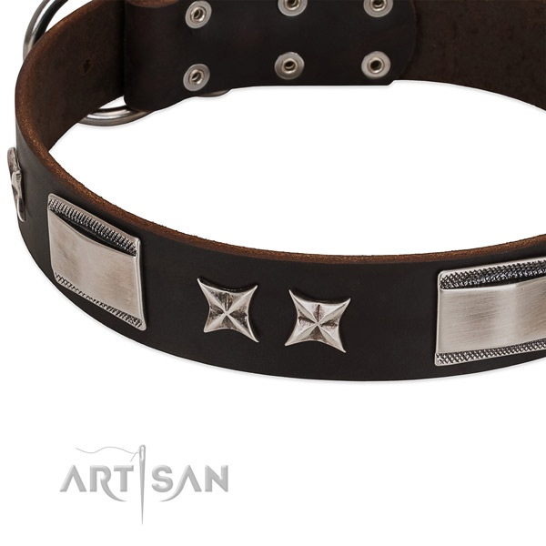 Extraordinary collar of leather for your stylish doggie