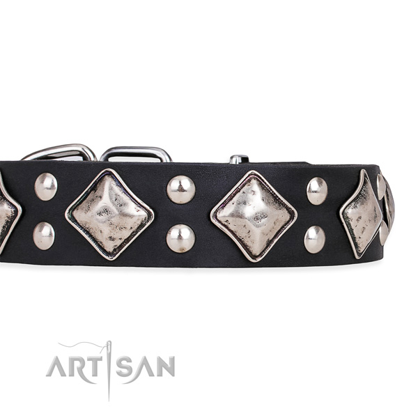 Natural leather dog collar with stunning corrosion resistant studs