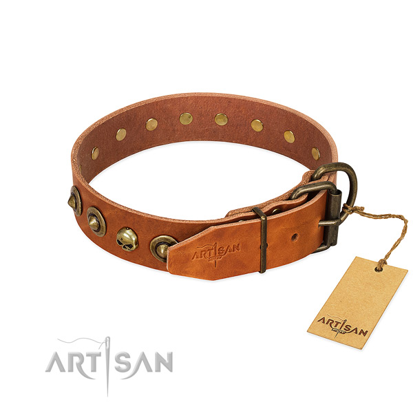 Natural leather collar with unusual studs for your canine