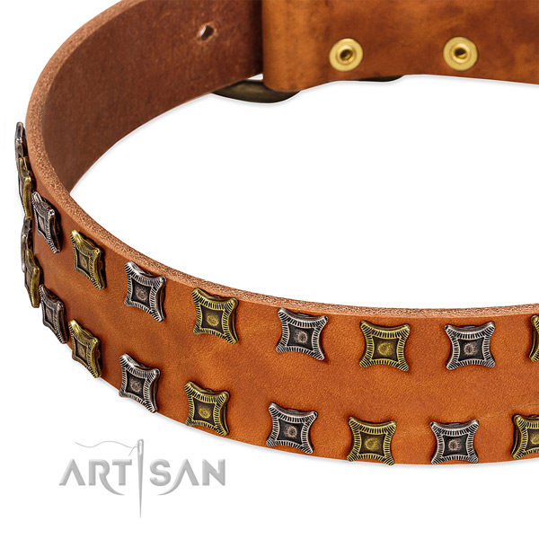 Reliable full grain leather dog collar for your impressive dog