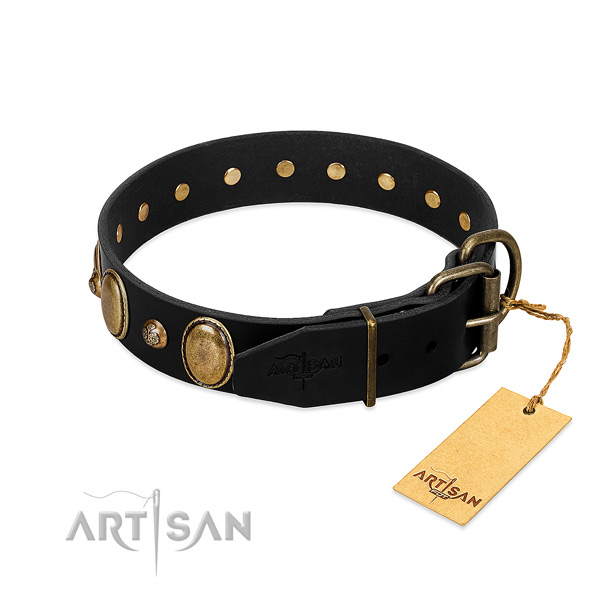 Rust resistant D-ring on genuine leather collar for daily walking your four-legged friend