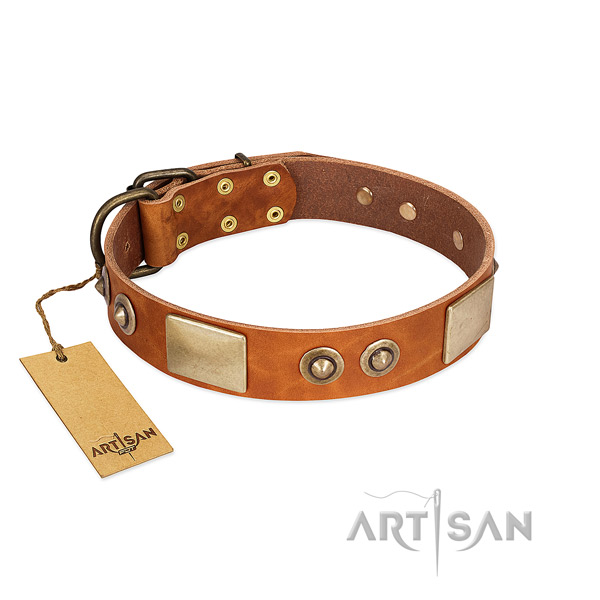 Easy wearing full grain genuine leather dog collar for basic training your dog