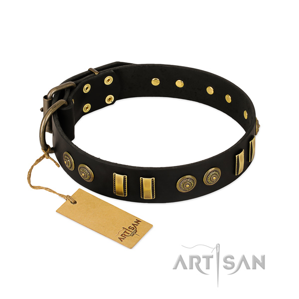 Corrosion resistant adornments on leather dog collar for your doggie