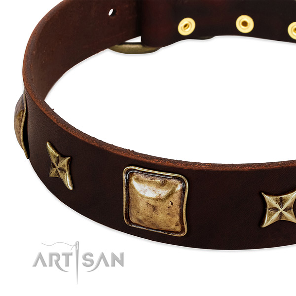 Rust-proof embellishments on genuine leather dog collar for your pet