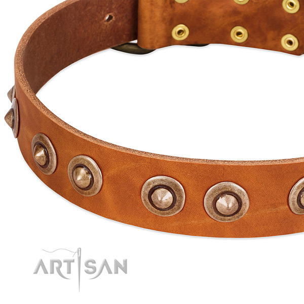 Reliable studs on full grain genuine leather dog collar for your dog