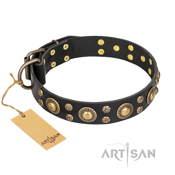 Daily use dog collar of strong full grain genuine leather with decorations