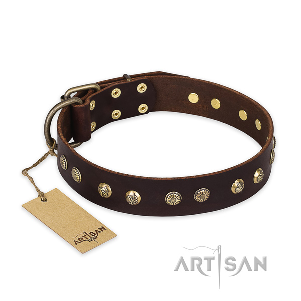 Embellished full grain genuine leather dog collar with rust-proof fittings