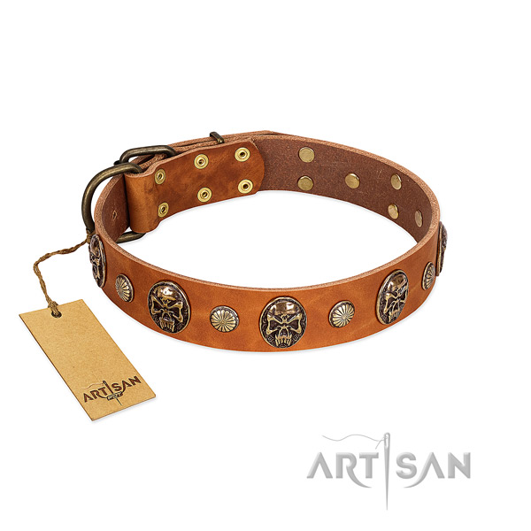 Unusual leather dog collar for fancy walking