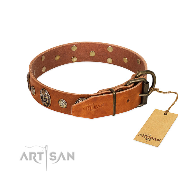 Corrosion resistant fittings on natural genuine leather collar for fancy walking your doggie