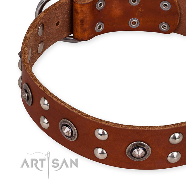 Full grain leather collar with strong fittings for your impressive four-legged friend