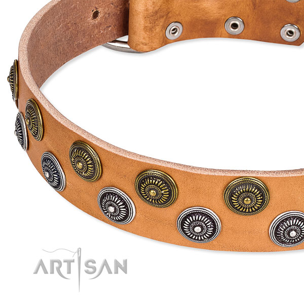 Comfortable wearing studded dog collar of finest quality full grain leather