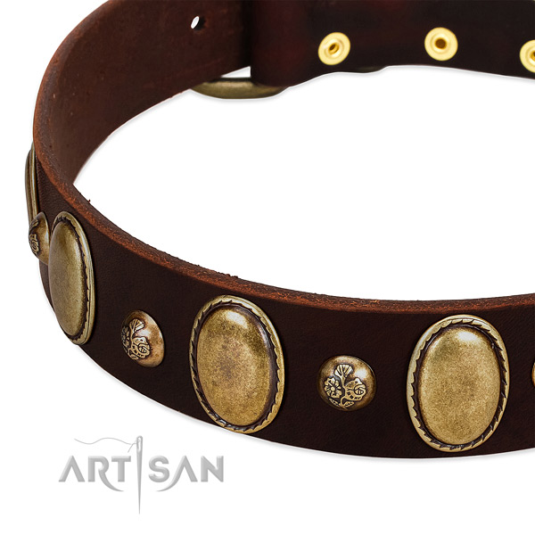 Natural leather dog collar with incredible decorations