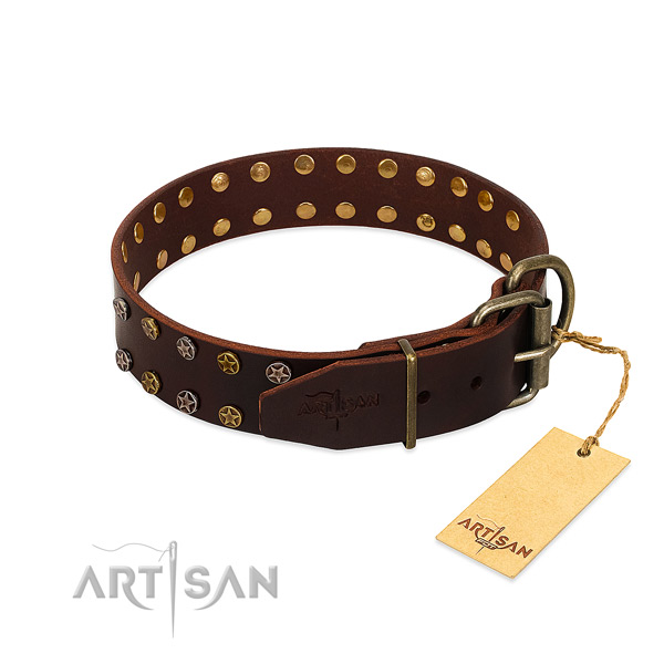 Fancy walking natural leather dog collar with inimitable studs